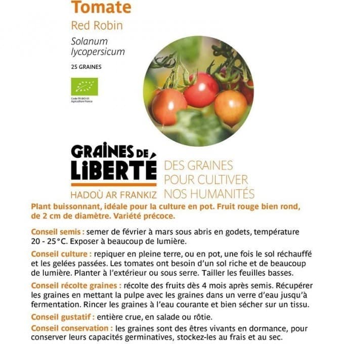 Tomate red robin