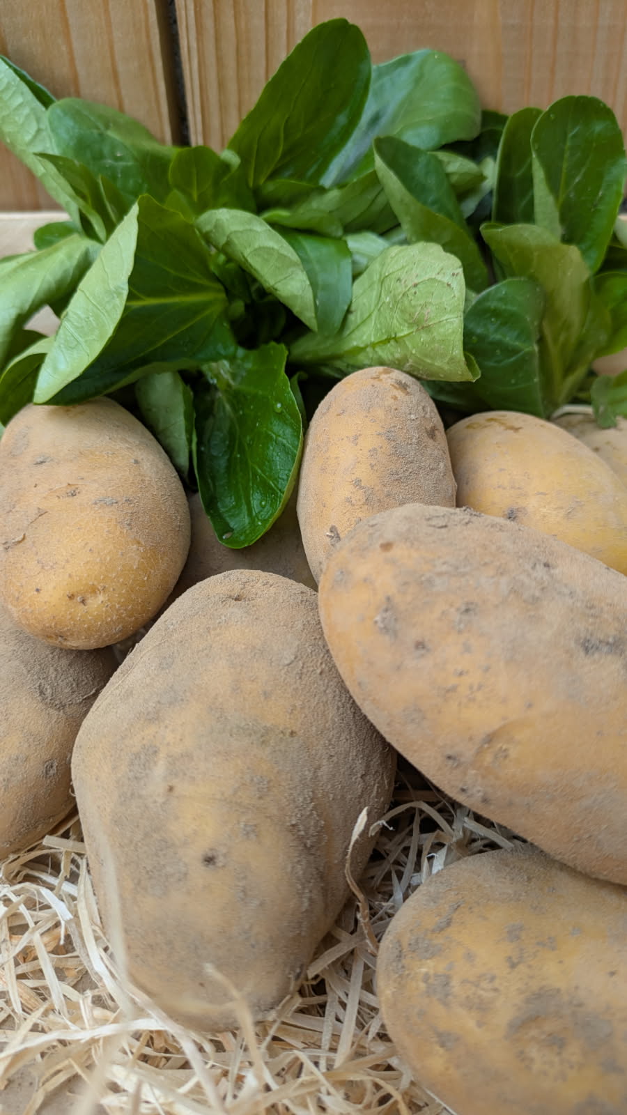 Panier de légumes spécial raclette.