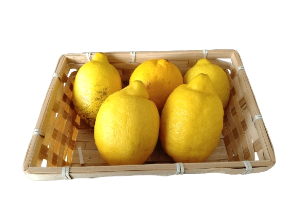 Citron Jaune BIO- A la pièce