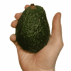 Avocat à la pièce