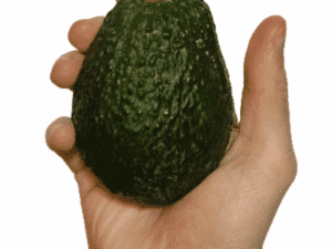 Avocat à la pièce