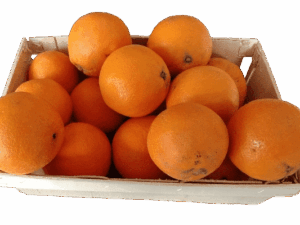Oranges KG